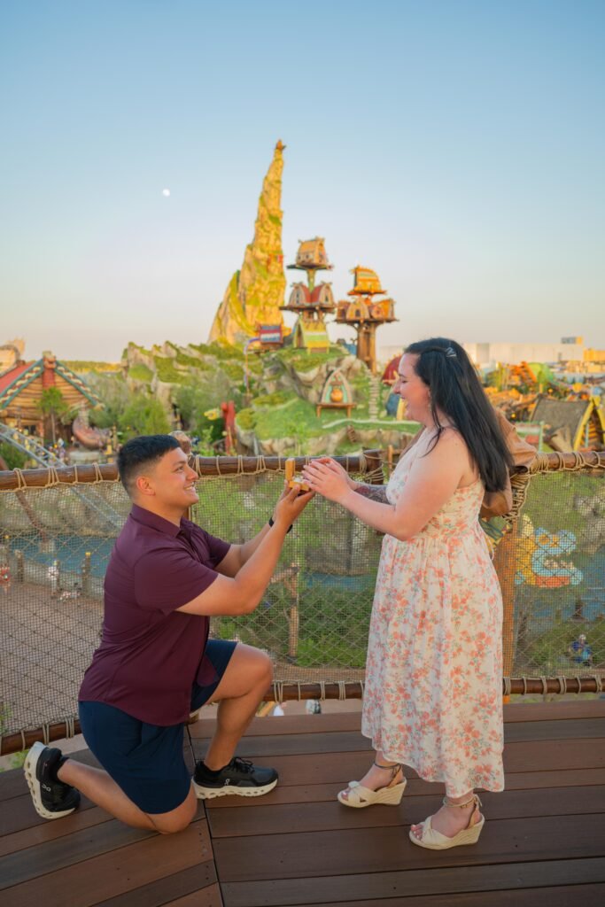 Why a How to Train Your Dragon Proposal at Universal Epic Universe Is Pure Viking Magic