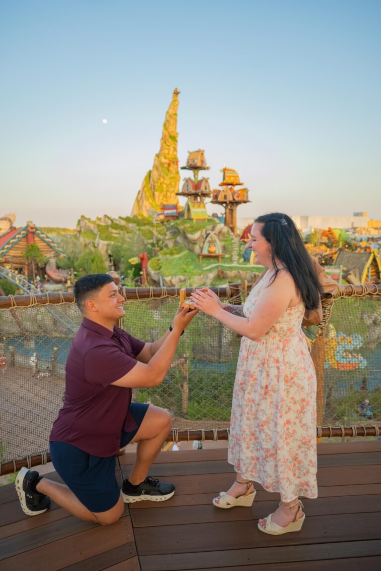 Why a How to Train Your Dragon Proposal at Universal Epic Universe Is Pure Viking Magic
